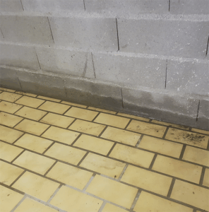 Humidité dans le Sous-Sol de votre maison  : Causes, Détection et Solutions Durables