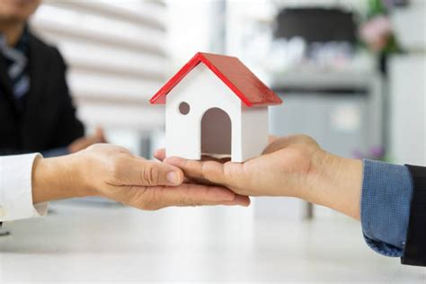 Expertise avant achat immobilier francophone sur la Costa del Sol – sécuriser votre investissement